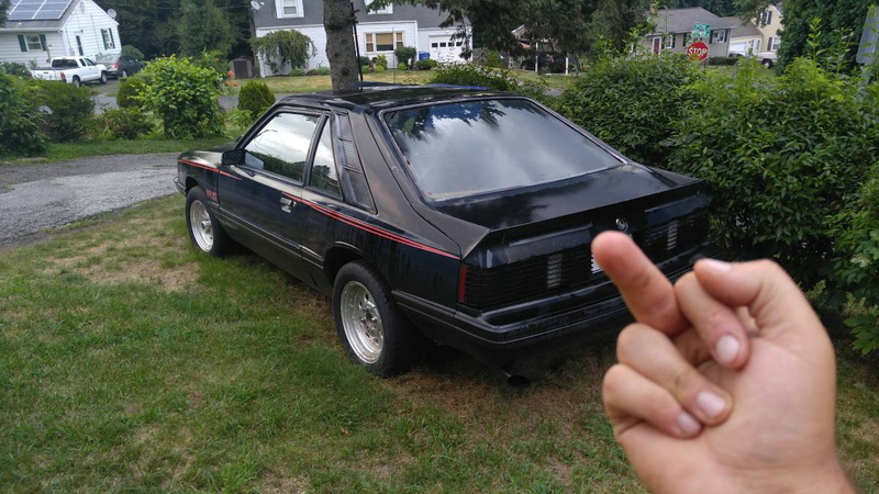This Capri has a bad motor, but I was amused by his chosen method to block the plate.